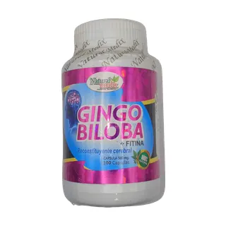 Gingo Biloba 100caps (Natural Medix)