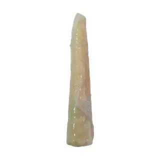Vela de Cebo